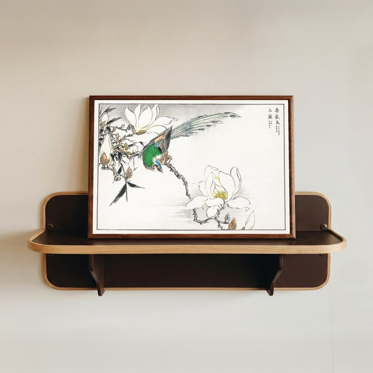 Framed art print of Asian Paradise Flycatcher and White Magnolia by Numata Kashū, in a dark wood frame resting on a wall shelf