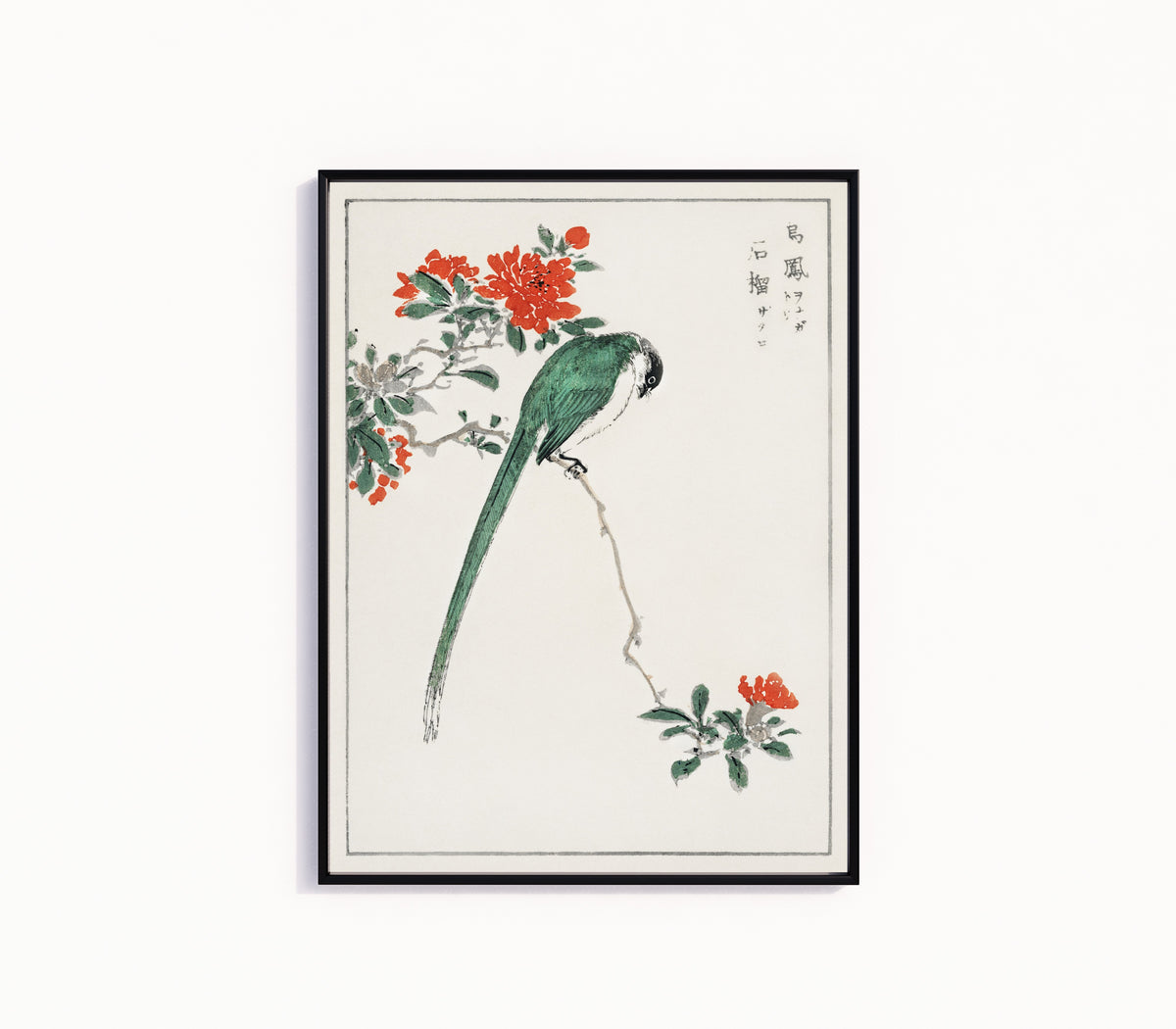 Framed art print of Azure-winged Magpie and Pomegranate by Numata Kashū, in a slim black frame on a plain white wall