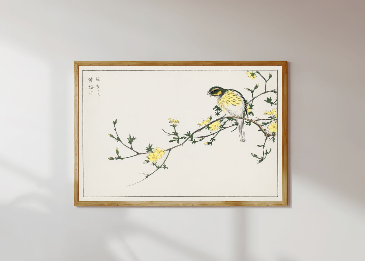 Framed art print of Black-faced Bunting and Winter Jasmine by Numata Kashū, in a light wood frame on a sunlit white wall