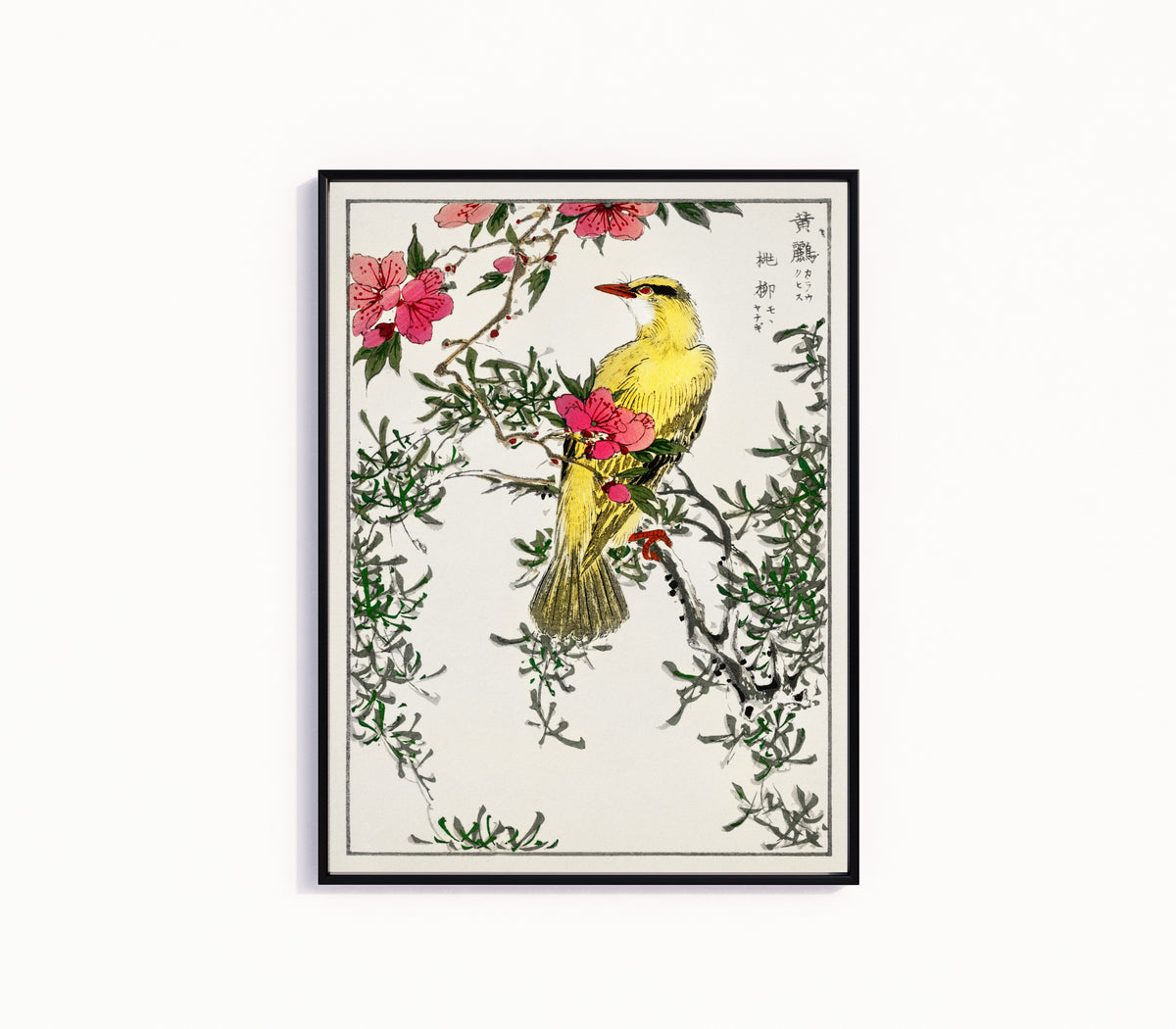 Framed art print of Black-naped Oriole with Peach and Willow by Numata Kashū, in a slim black frame on a plain white wall