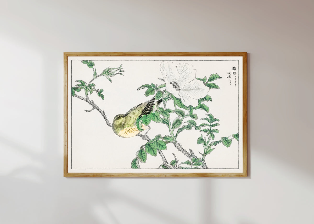 Framed art print of Brown-eared Bulbul and Rosa Rugosa by Numata Kashū, in a light wood frame on a sunlit white wall