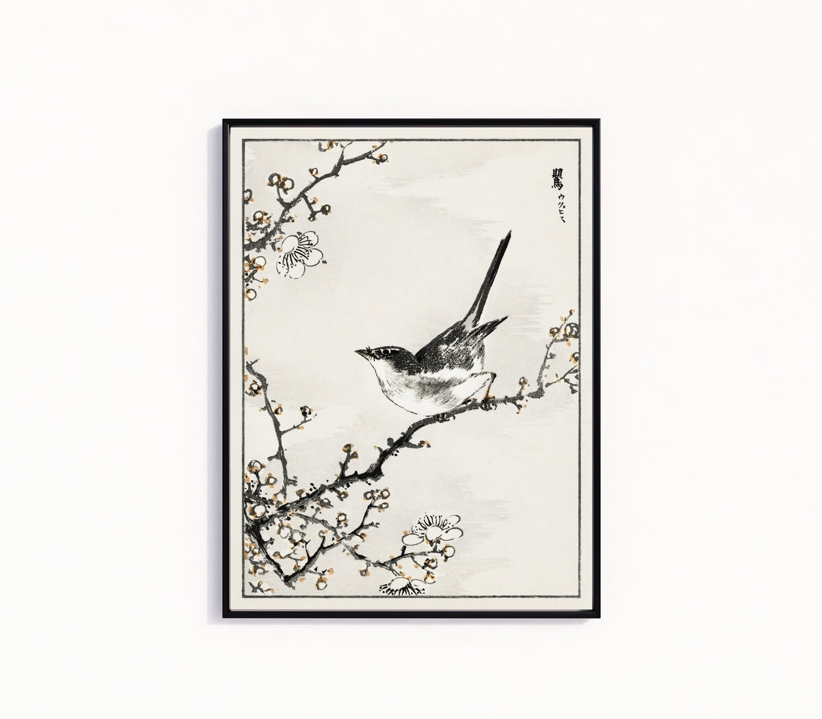 Framed art print of Bush-warbler and White Plum Tree by Numata Kashū, in a slim black frame on a plain white wall