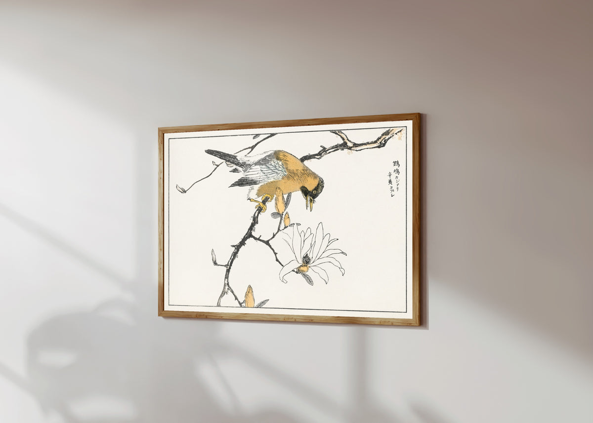 Framed art print of Eurasian Jay and Kobushi Magnolia by Numata Kashū, in a light wood frame on a sunlit white wall, seen at a slight angle
