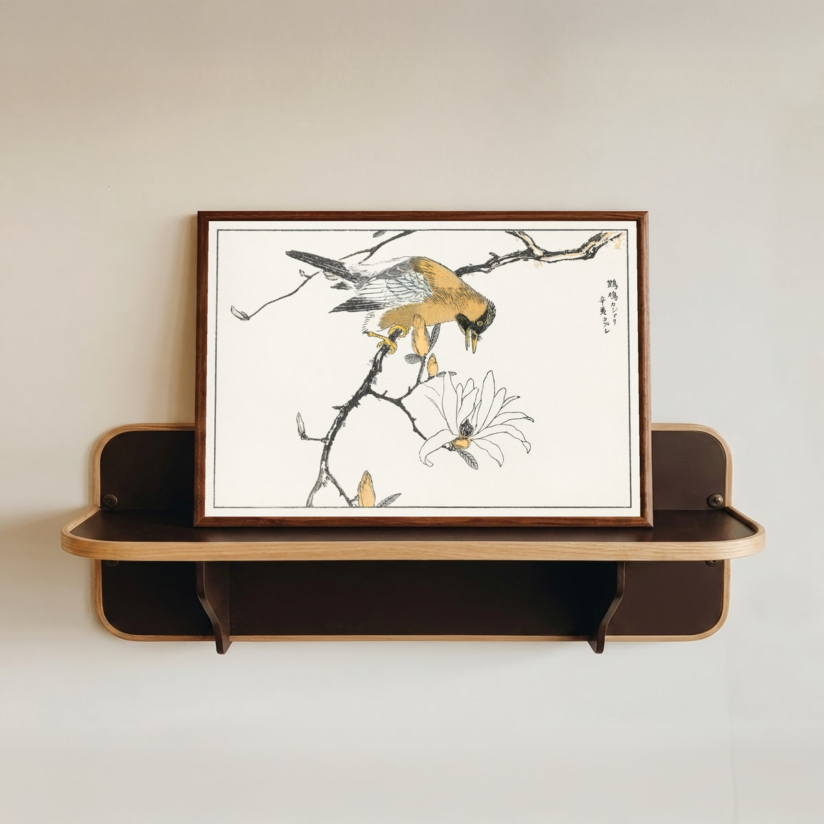 Framed art print of Eurasian Jay and Kobushi Magnolia by Numata Kashū, in a dark wood frame resting on a wall shelf