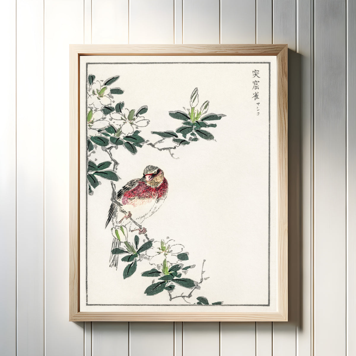 Framed art print of Japanese Long-tailed Rosefinch by Numata Kashū, in a light wood frame on a white panelled wall
