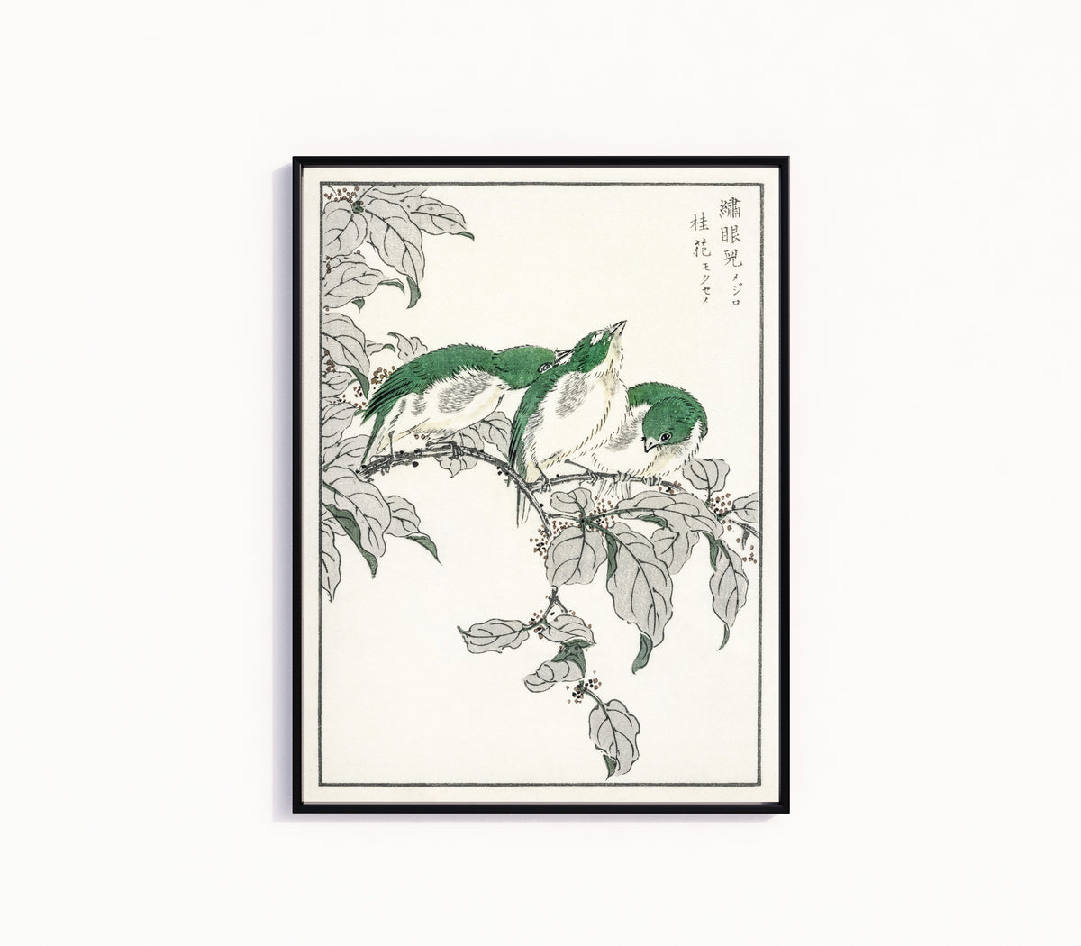 Framed art print of Japanese White-eye and Osmanthus Fragrans by Numata Kashū, in a slim black frame on a plain white wall