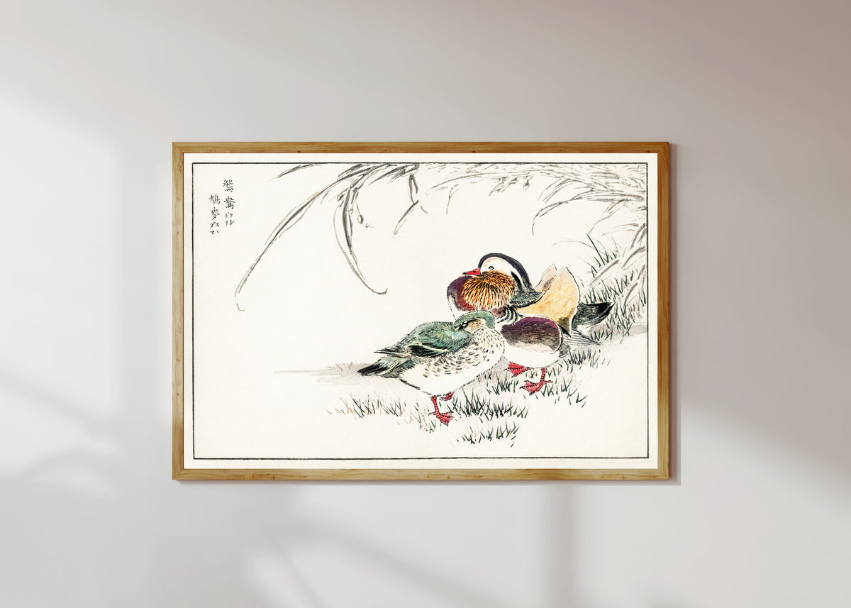 Framed art print of Mandarin Duck and Pearl Barley by Numata Kashū, in a light wood frame on a sunlit white wall
