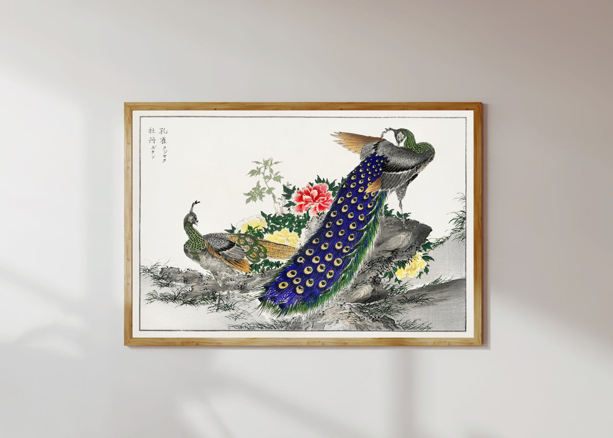 Framed art print of Peacock and Peony by Numata Kashū, in a light wood frame on a sunlit white wall