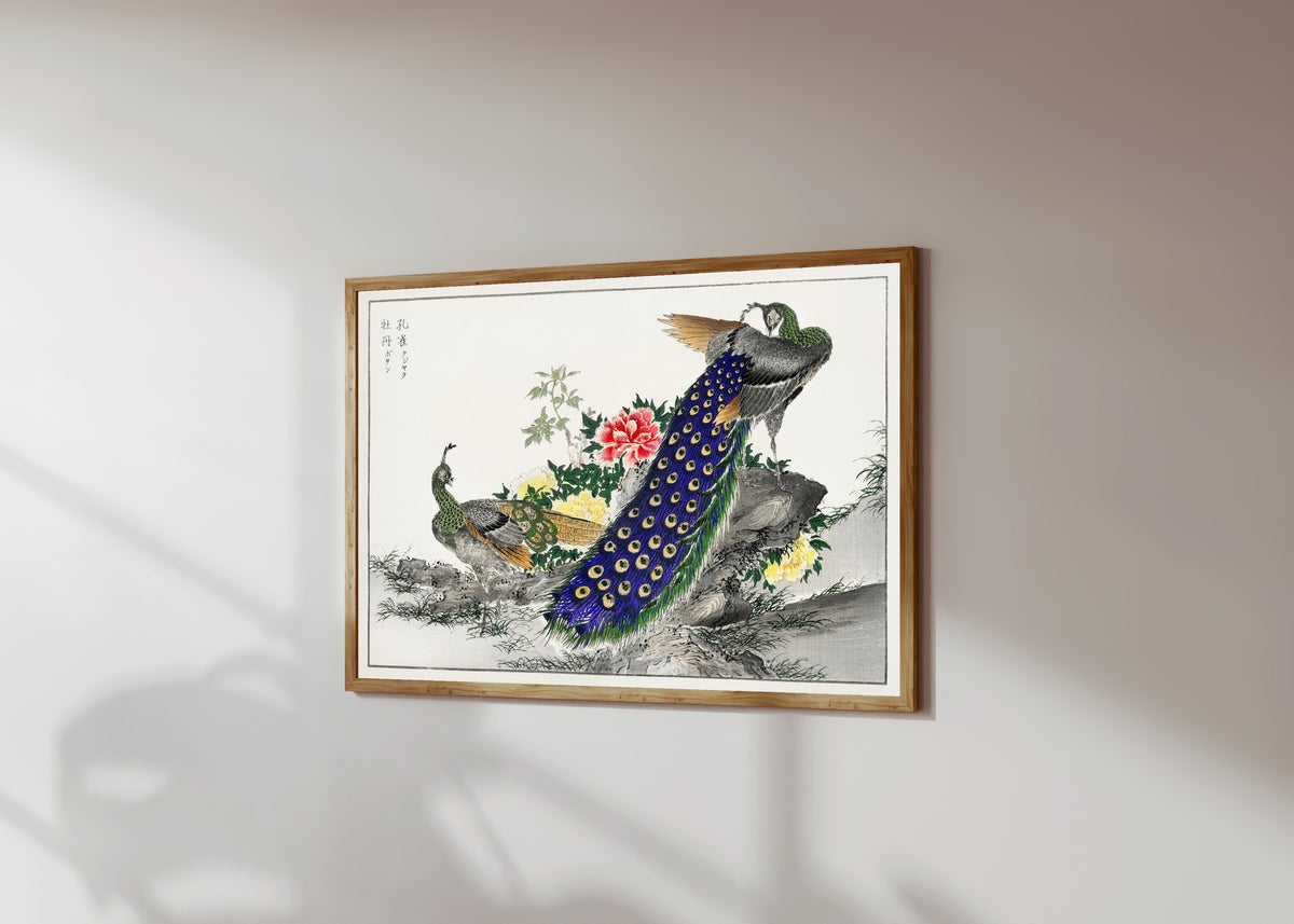 Framed art print of Peacock and Peony by Numata Kashū, in a light wood frame on a sunlit white wall, seen at a slight angle
