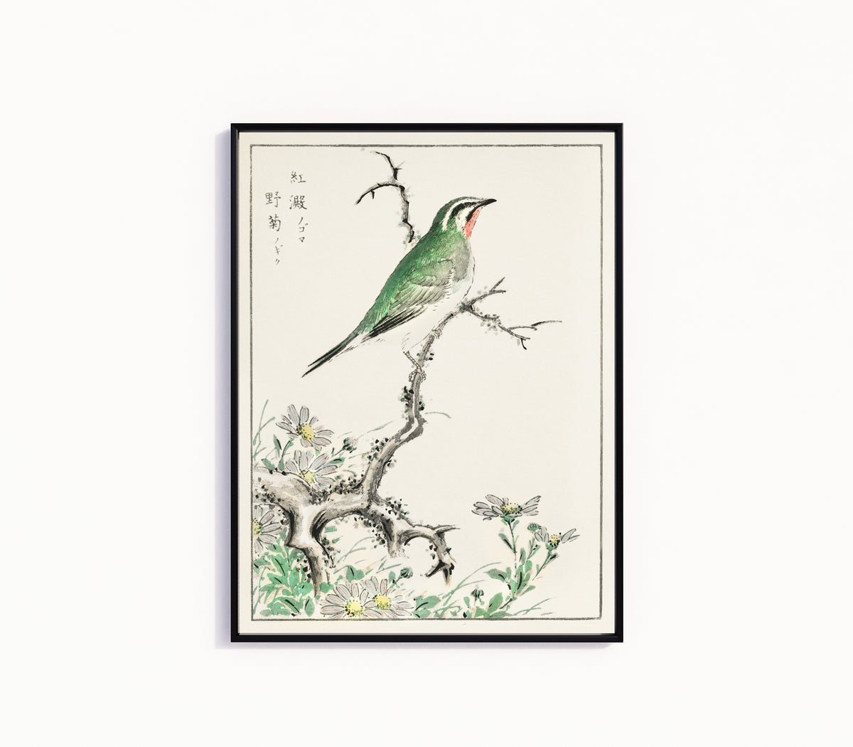 Framed art print of Ruby Throat and Wild Chrysanthemum by Numata Kashū, in a slim black frame on a plain white wall