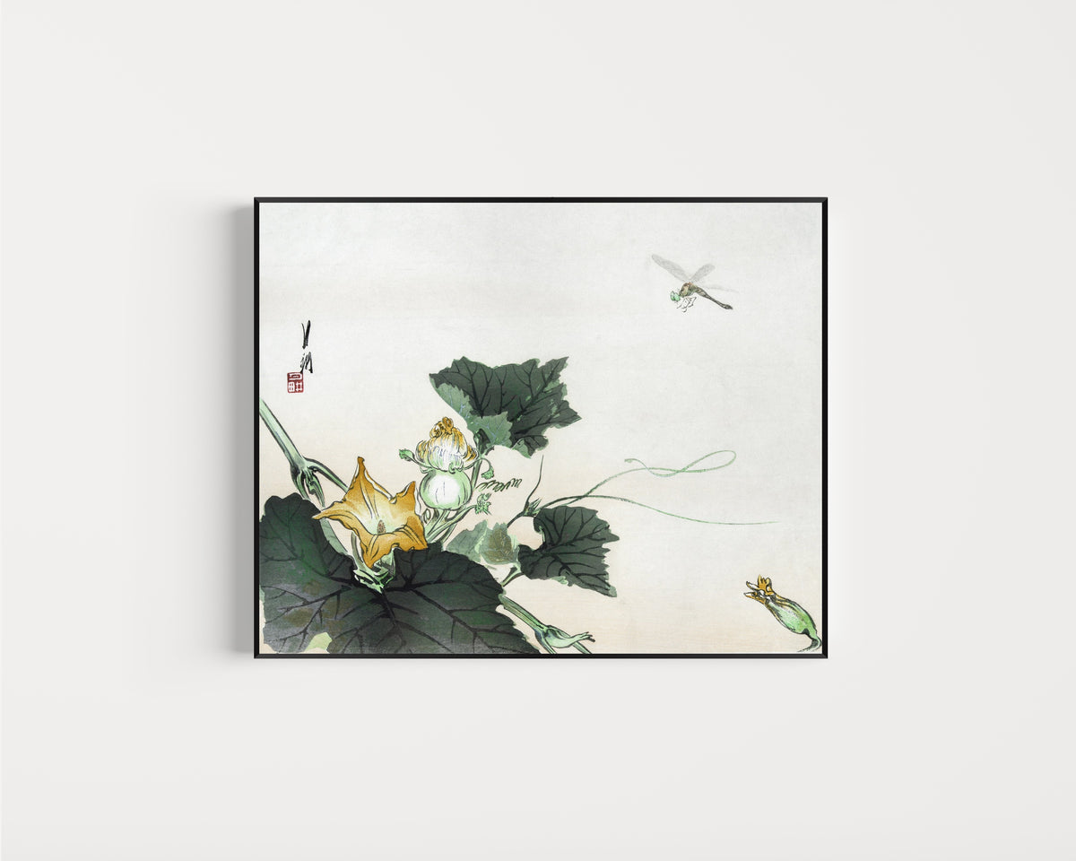 Framed art print of Kabocha ni tonbou (1890–1920) by Ogata Gekkō, in a slim black frame on a plain white wall