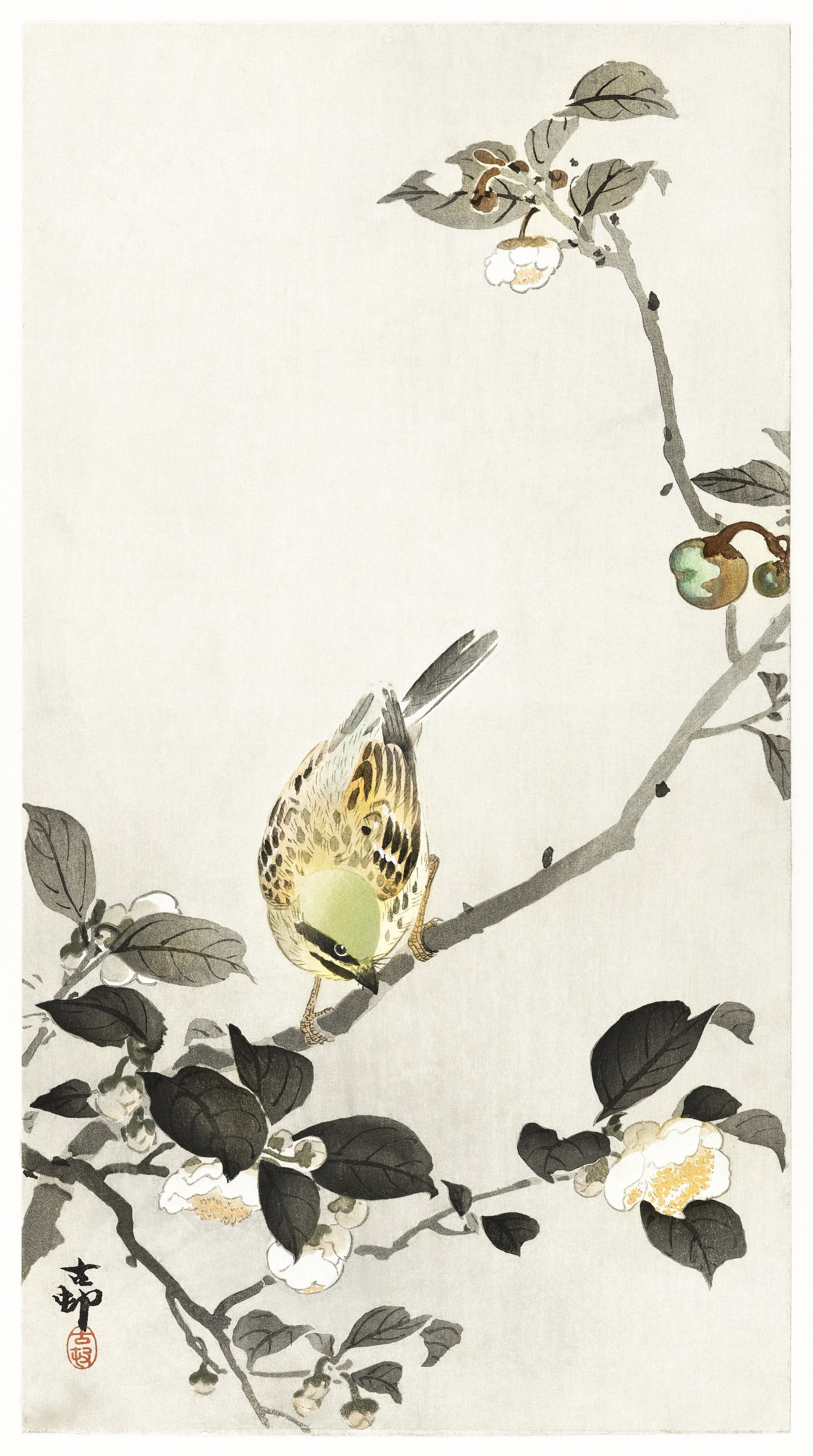Ohara Koson — Bunting on Blossom Branch | Japanese Bird & Flower Woodblock Print - 9ArtPrints