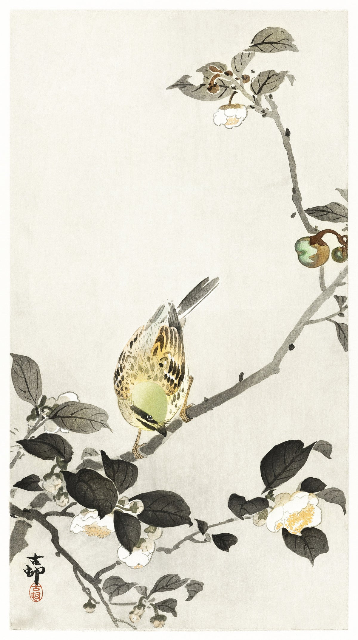 Ohara Koson — Bunting on Blossom Branch | Japanese Bird & Flower Woodblock Print - 9ArtPrints