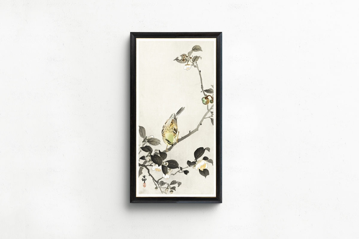 Ohara Koson — Bunting on Blossom Branch | Japanese Bird & Flower Woodblock Print - 9ArtPrints
