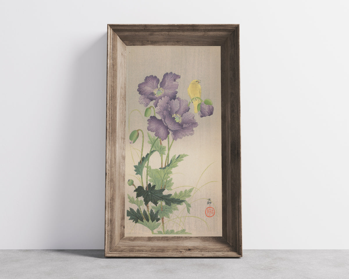 Canary and Poppies by Ohara Koson — shown framed on a wall