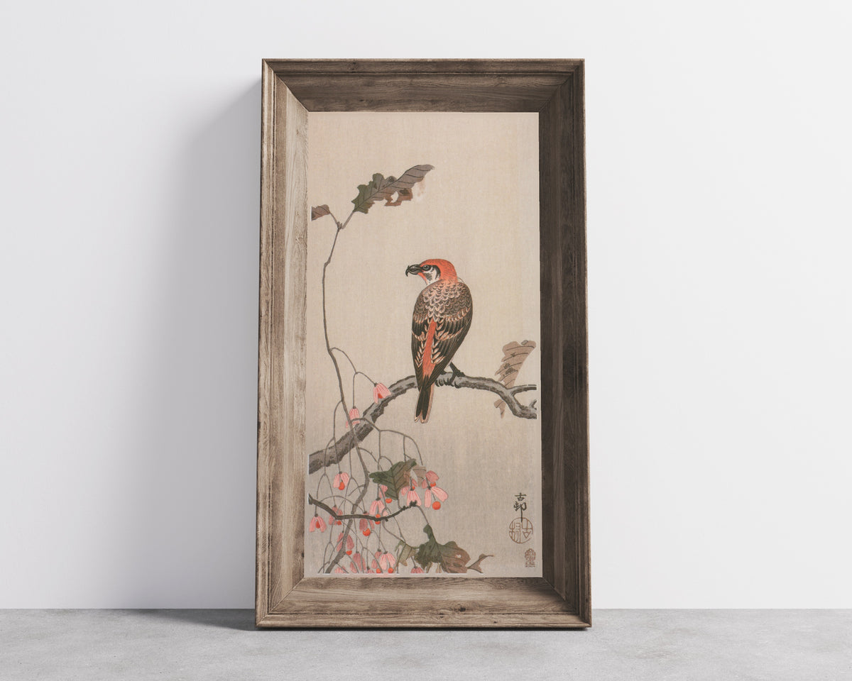 Crossbill and Begonia by Ohara Koson — shown framed on a wall