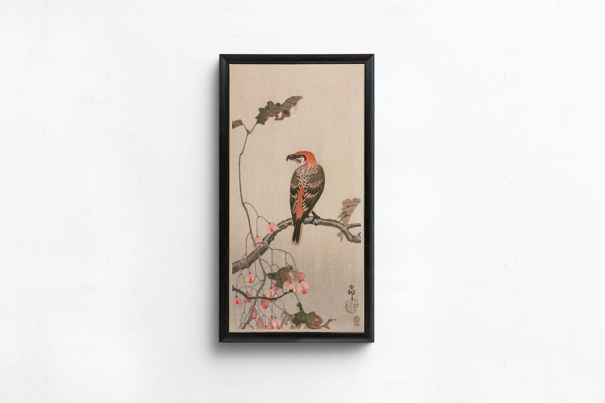 Crossbill and Begonia by Ohara Koson — shown framed on a wall