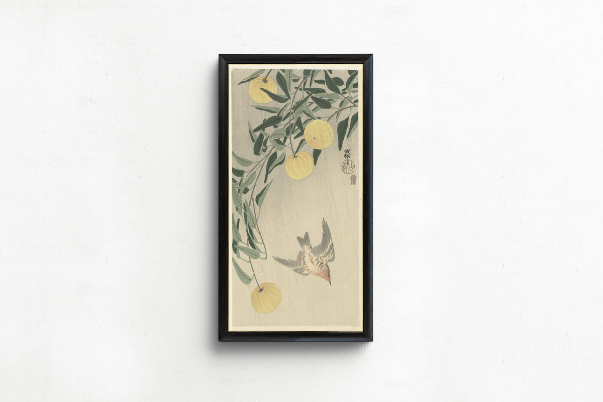 Ohara Koson — Cuckoo in the rain | Japanese Bird & Flower Woodblock Print - 9ArtPrints
