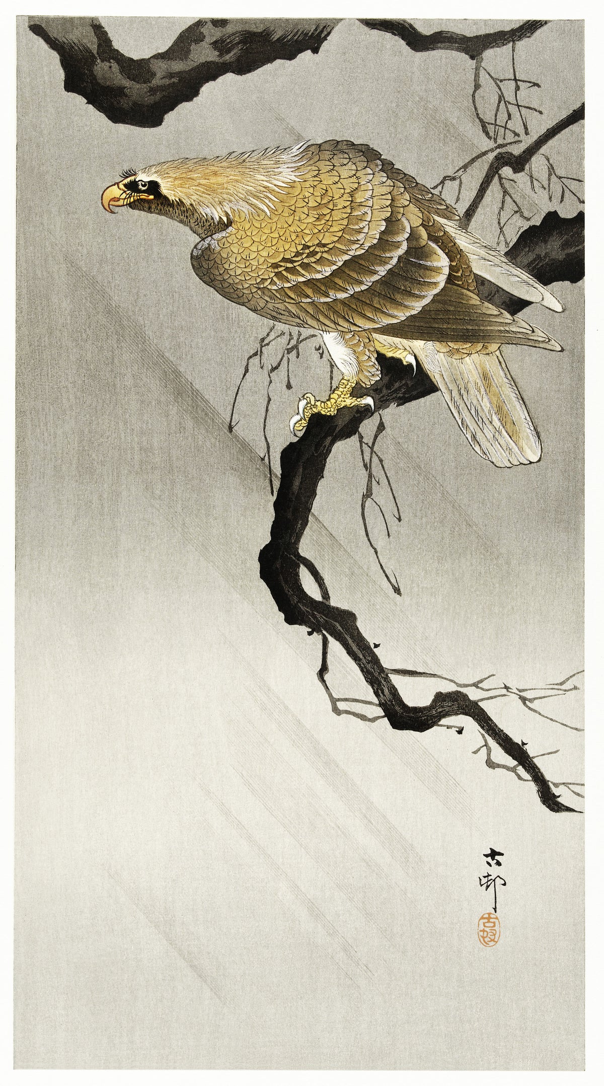 Ohara Koson — Eagle on Branch | Japanese Bird & Flower Woodblock Print - 9ArtPrints