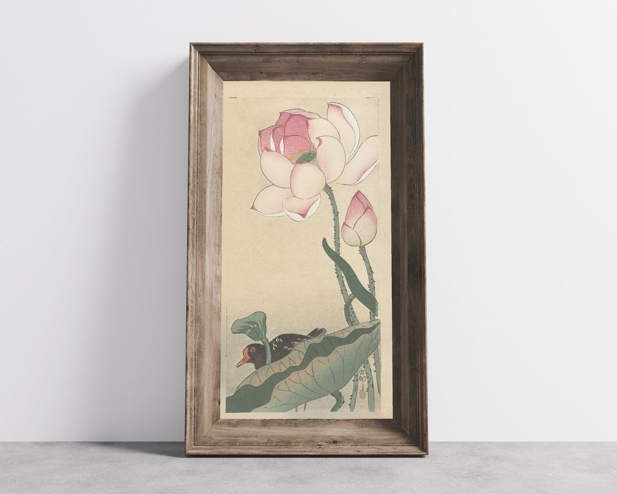 Ohara Koson — Gallinule with Lotus Flowers | Japanese Bird & Flower Woodblock Print - 9ArtPrints