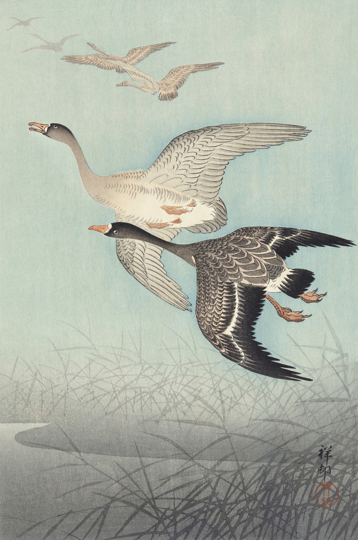 Ohara Koson — Great Geese in Flight | Japanese Bird & Flower Woodblock Print - 9ArtPrints