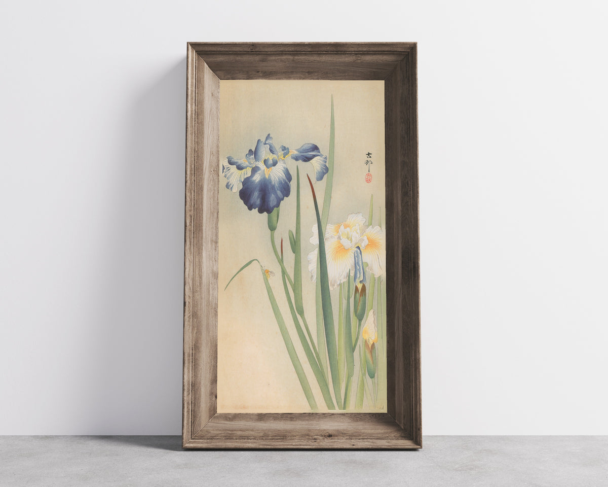 Iris and Bee by Ohara Koson — shown framed on a wall