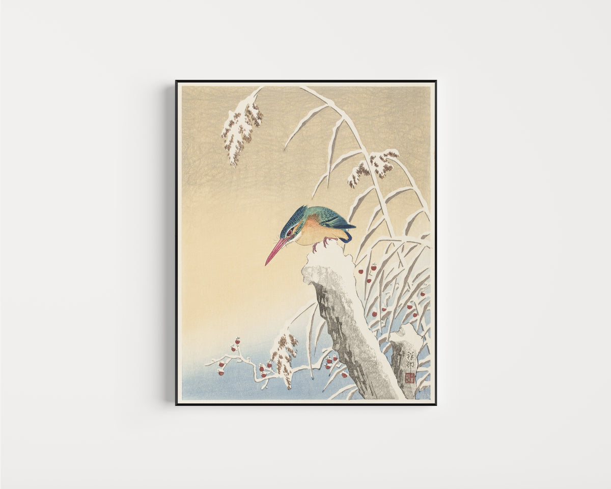 Framed art print of Kingfisher in the Snow by Ohara Koson, in a slim black frame on a plain white wall
