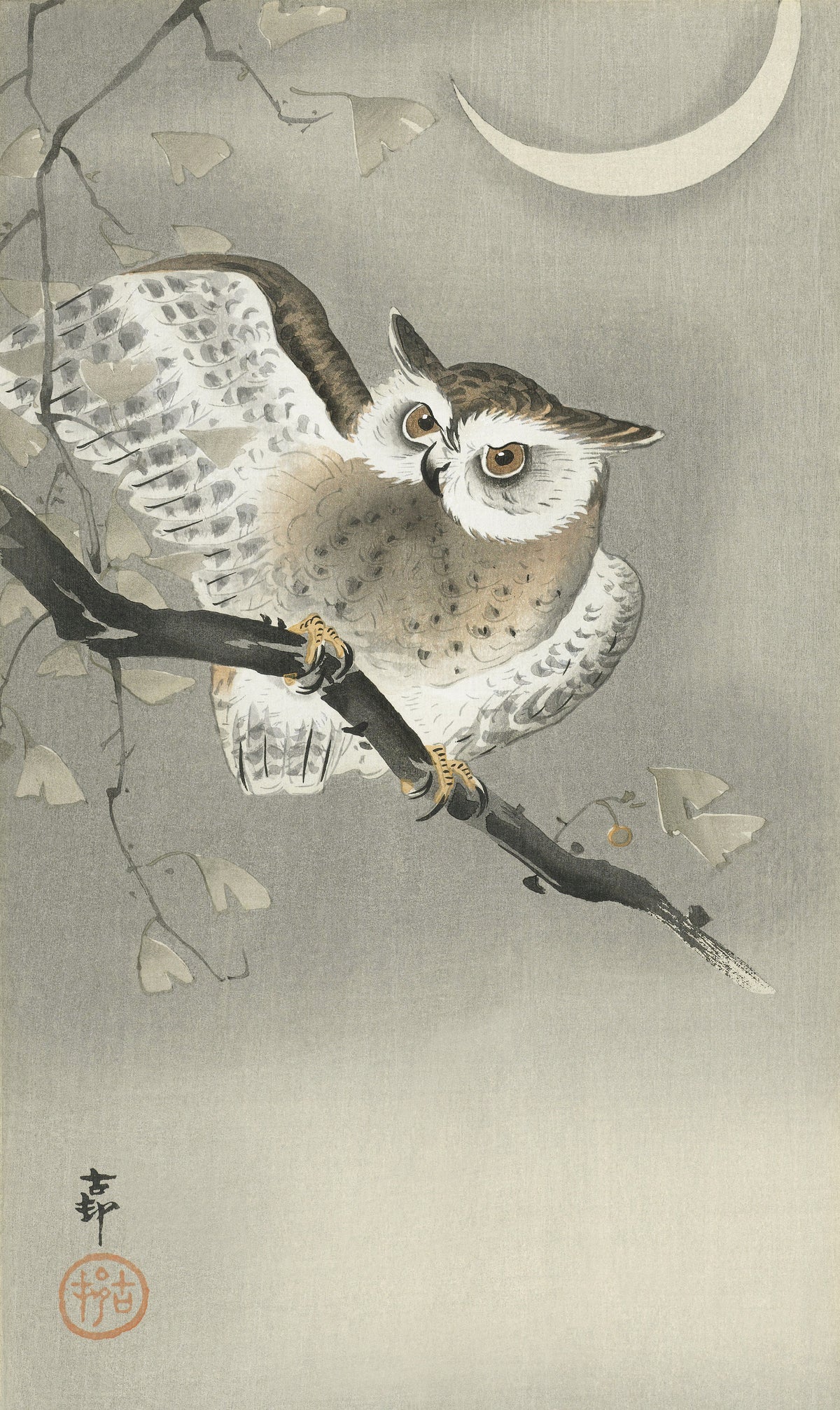 Ohara Koson — Long-eared Owl in Ginkgo | Japanese Bird & Flower Woodblock Print