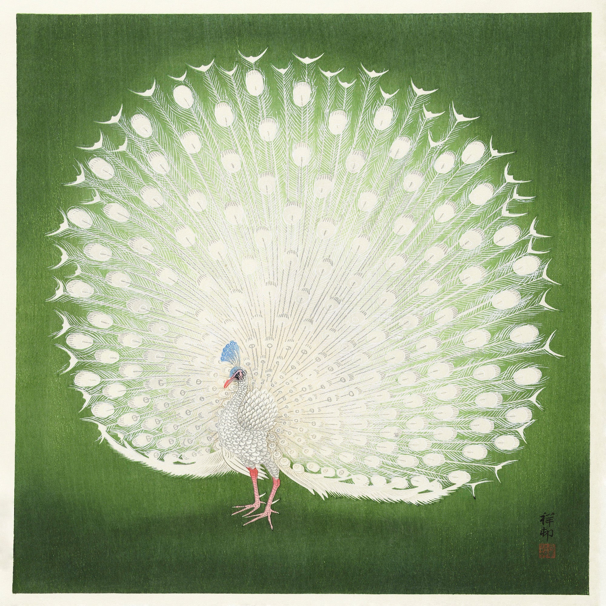 Ohara Koson — Peacock | Shin Hanga Print - 9ArtPrints