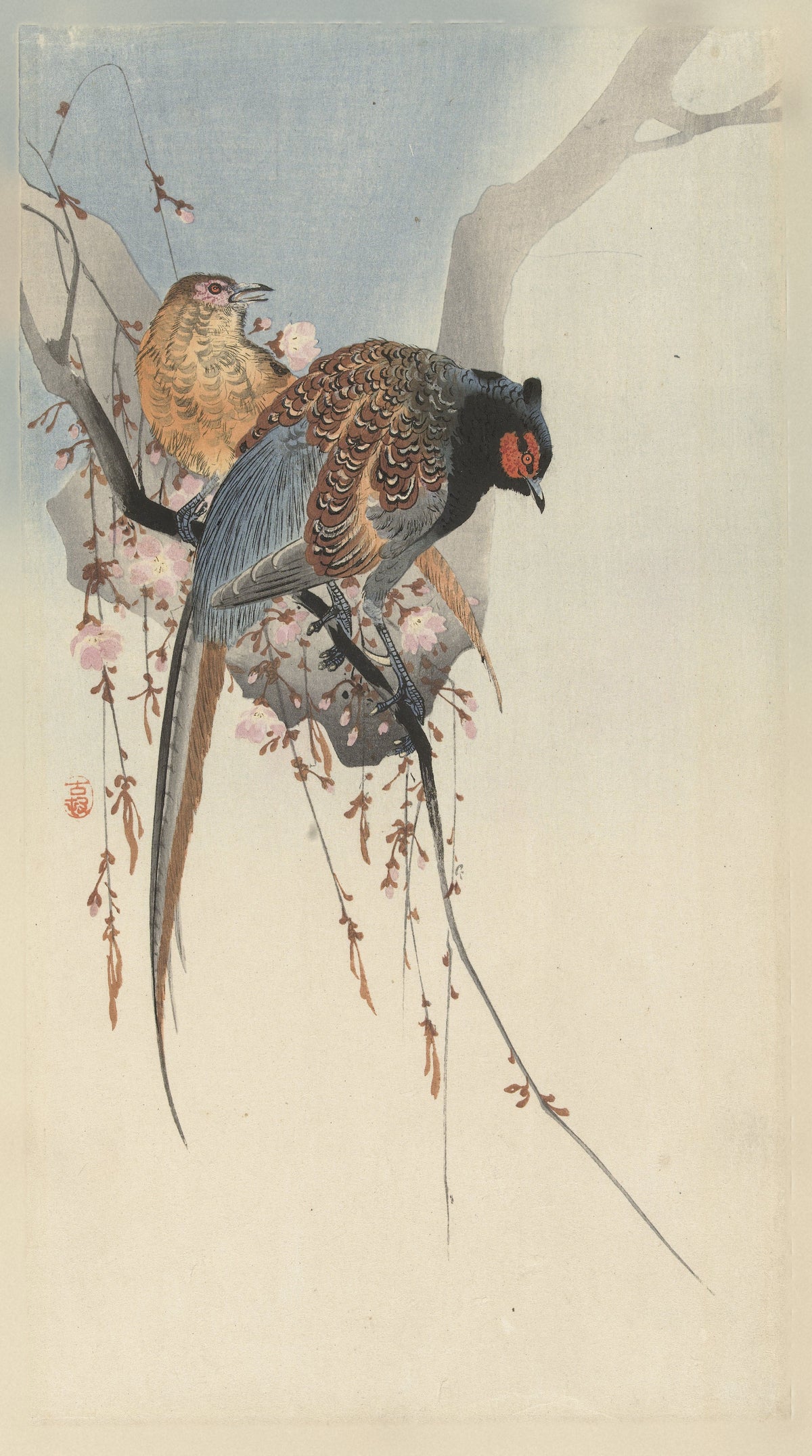 Ohara Koson — Pheasant Couple and Plum Blossom | Japanese Bird & Flower Woodblock Print - 9ArtPrints