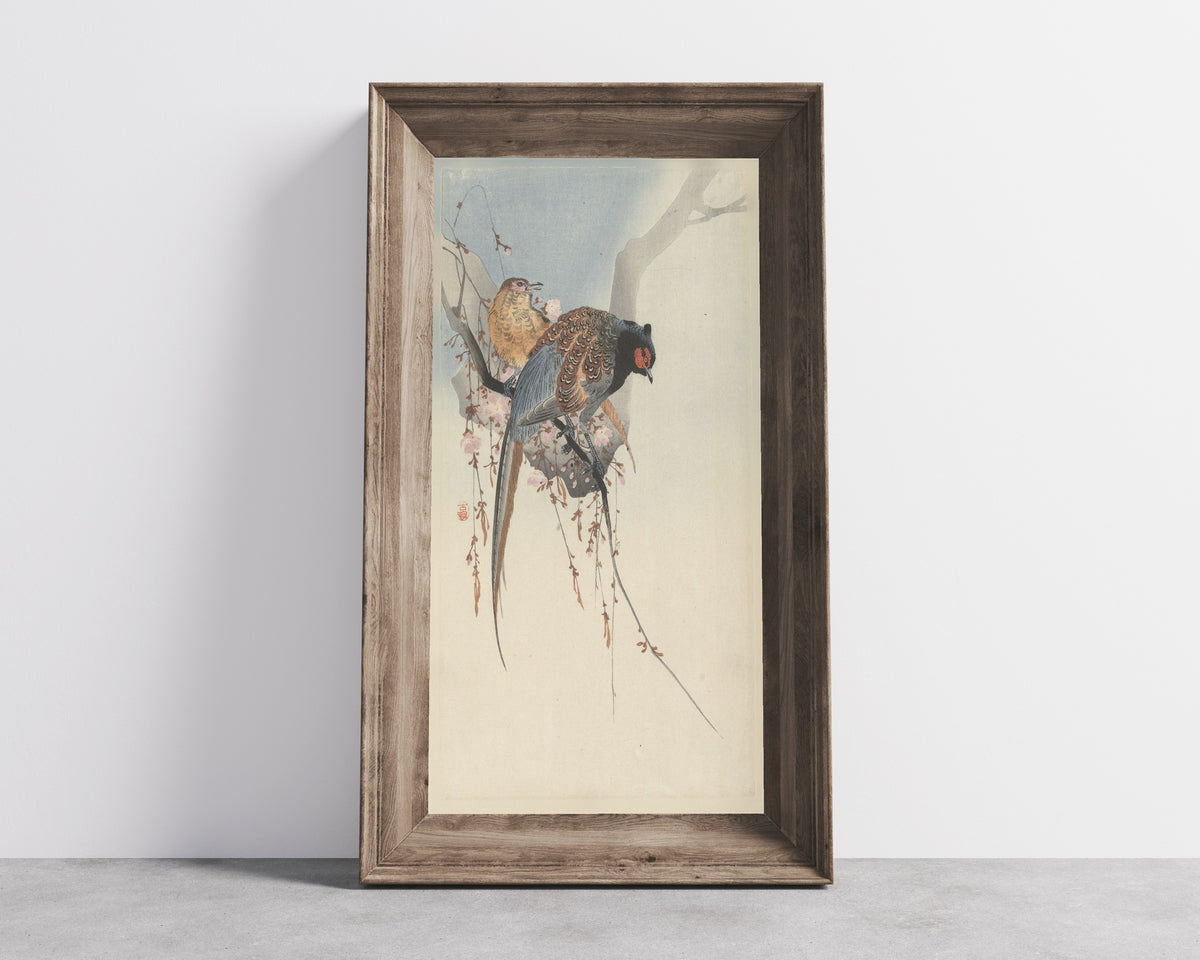 Ohara Koson — Pheasant Couple and Plum Blossom | Japanese Bird & Flower Woodblock Print - 9ArtPrints