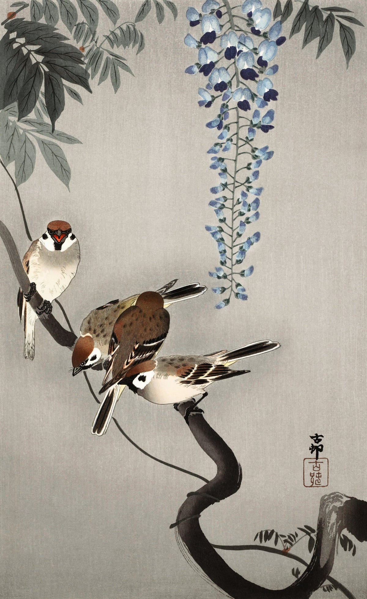 Ohara Koson — Ring Sparrows at Wisteria | Japanese Bird & Flower Woodblock Print - 9ArtPrints
