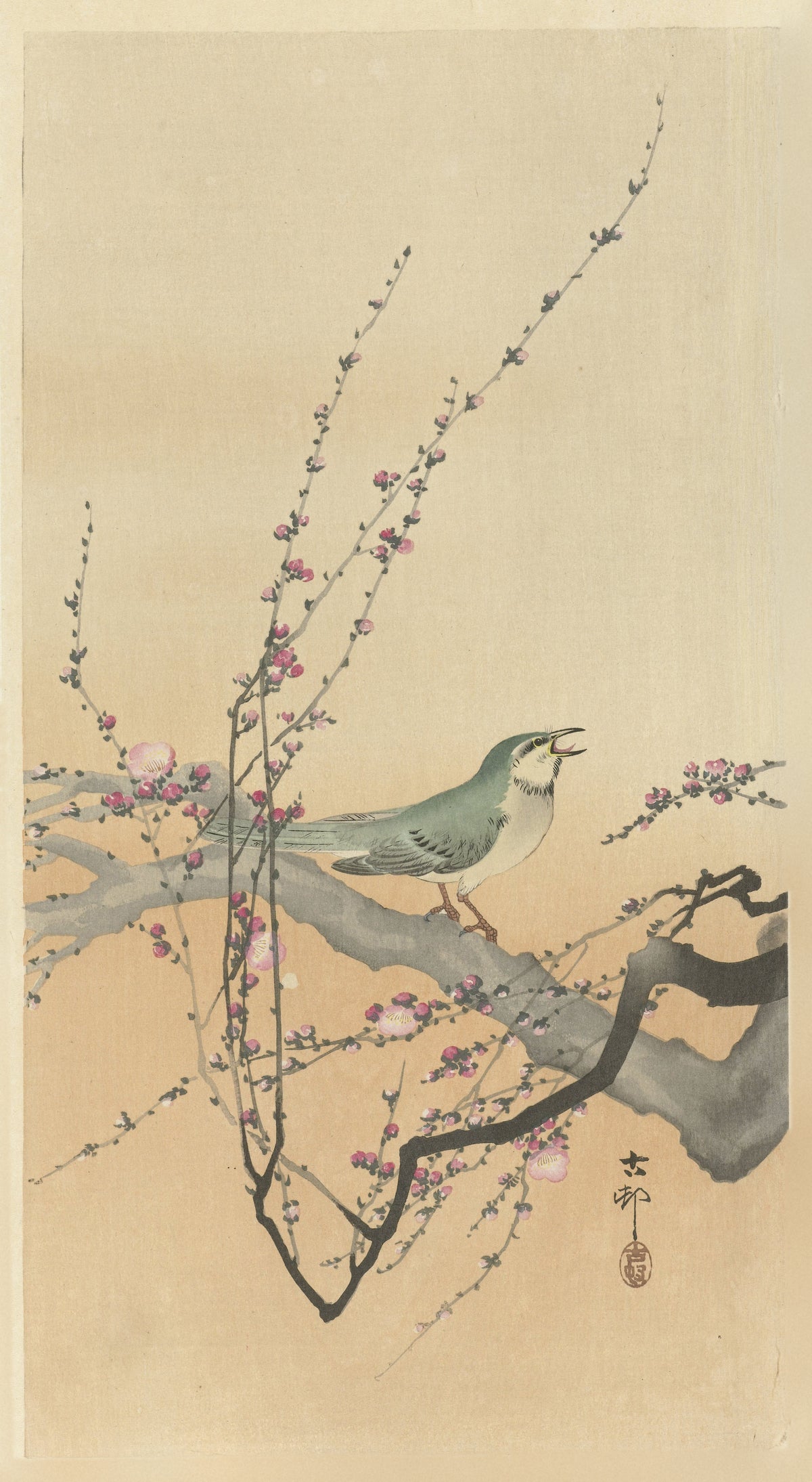 Songbird and Plum Blossom by Ohara Koson — A songbird sings from a plum branch in blossom