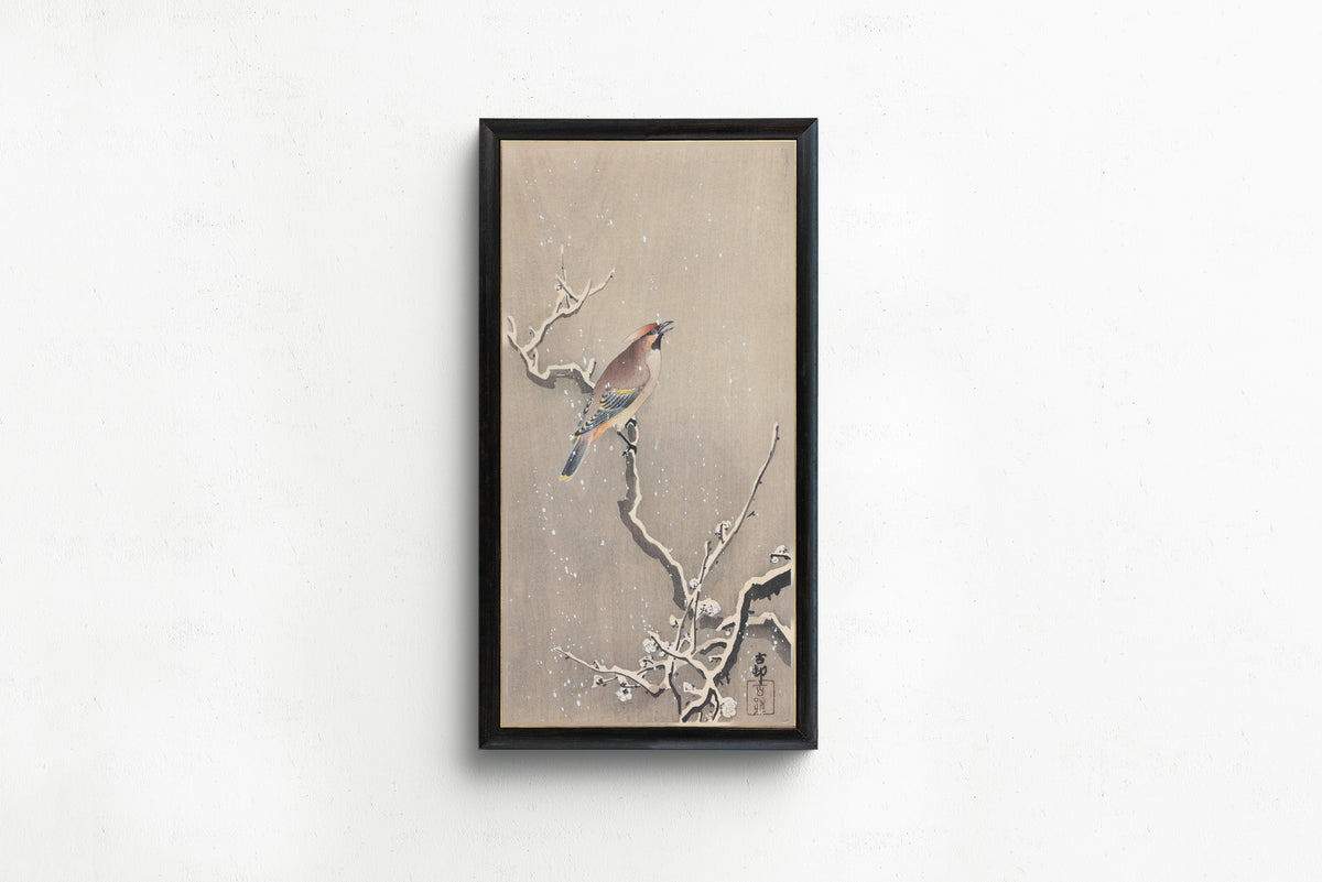 Waxwing on Snowy Plum by Ohara Koson — shown framed on a wall