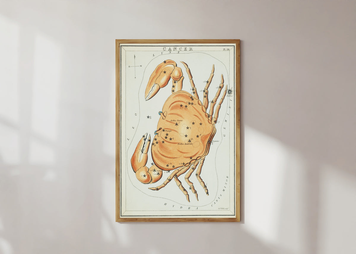 Framed art print of Cancer by Sidney Hall, in a light wood frame on a sunlit white wall
