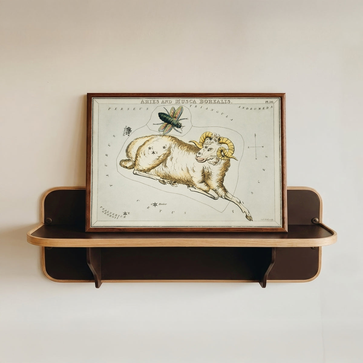 Framed art print of Aries by Sidney Hall, in a dark wood frame resting on a wall shelf