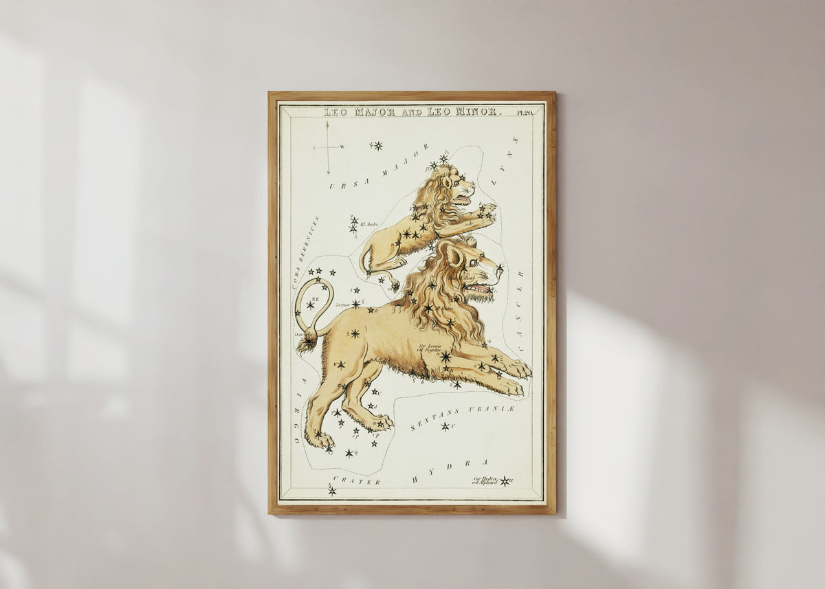Framed art print of Leo by Sidney Hall, in a light wood frame on a sunlit white wall