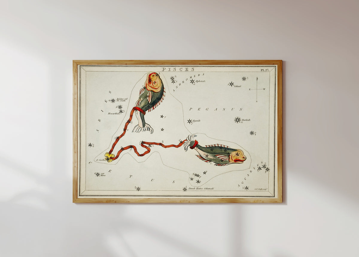 Framed art print of Pisces by Sidney Hall, in a light wood frame on a sunlit white wall