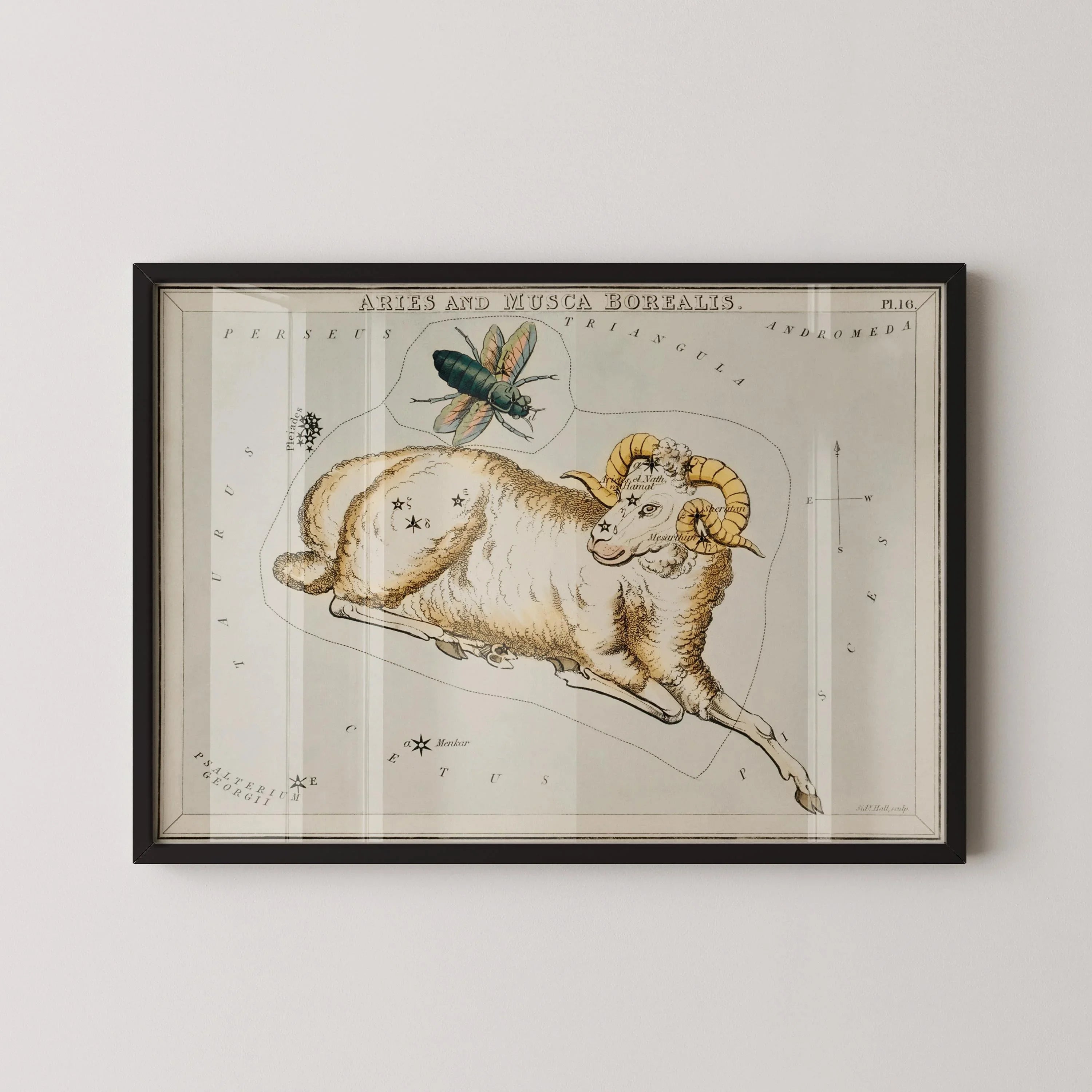Personalizable Vintage Astrological Sign Print - Aries | Sidney Hall Art (available handframed or unframed) - 9ArtPrints