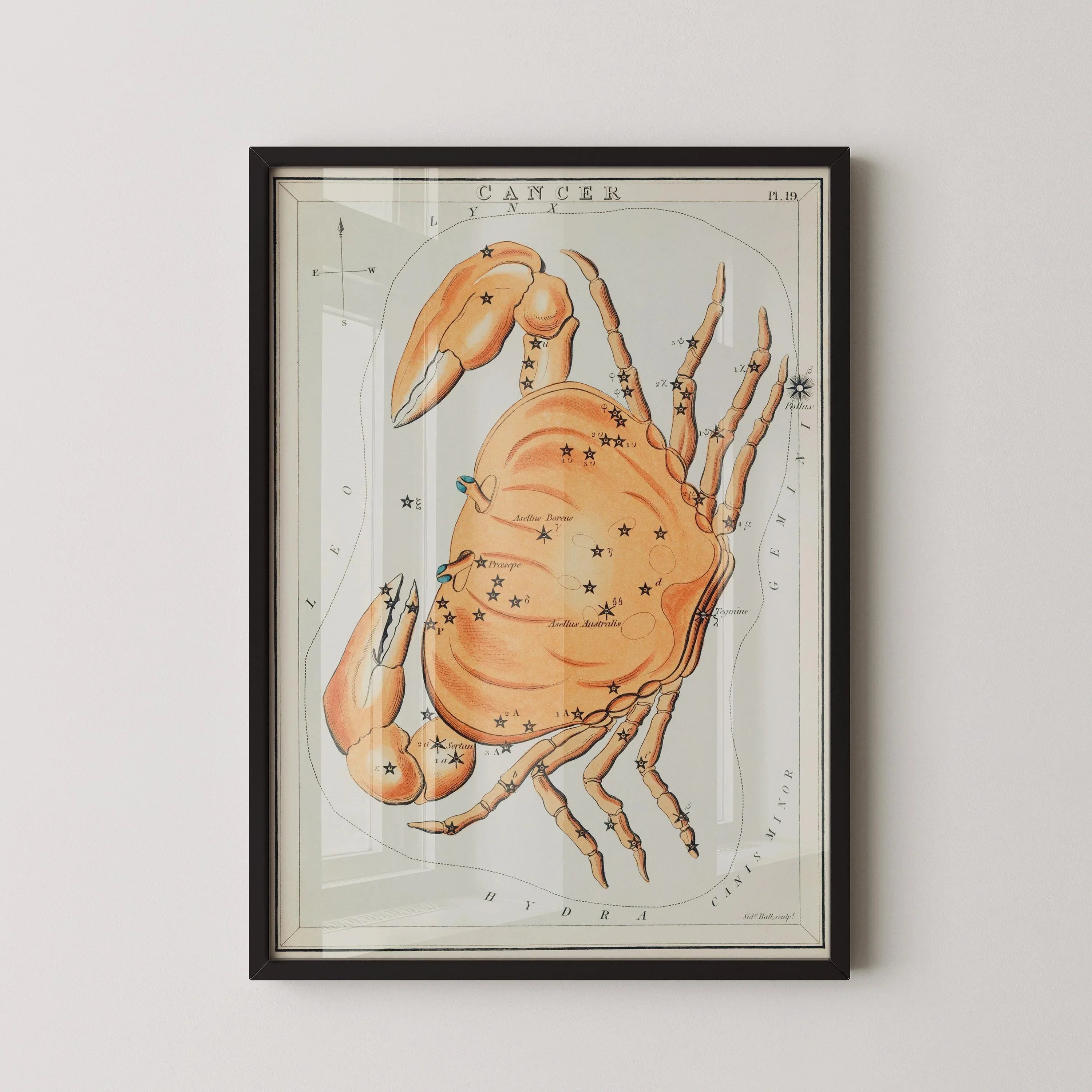 Personalizable Vintage Astrological Sign Print - Cancer | Sidney Hall Art (available handframed or unframed) - 9ArtPrints