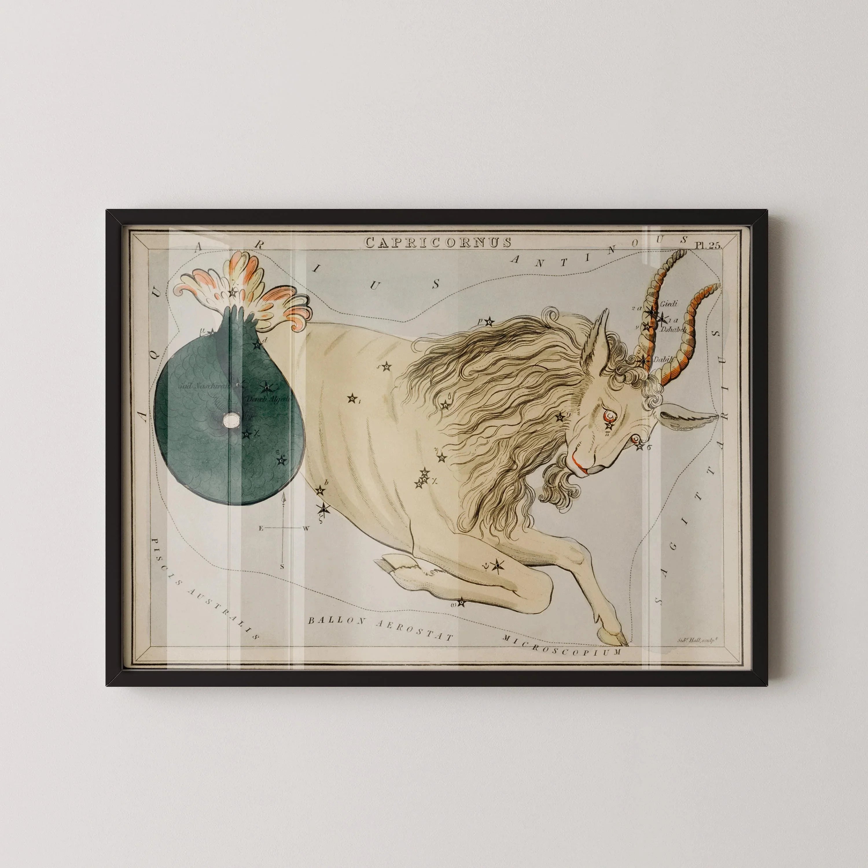 Personalizable Vintage Astrological Sign Print - Capricorn | Sidney Hall Art