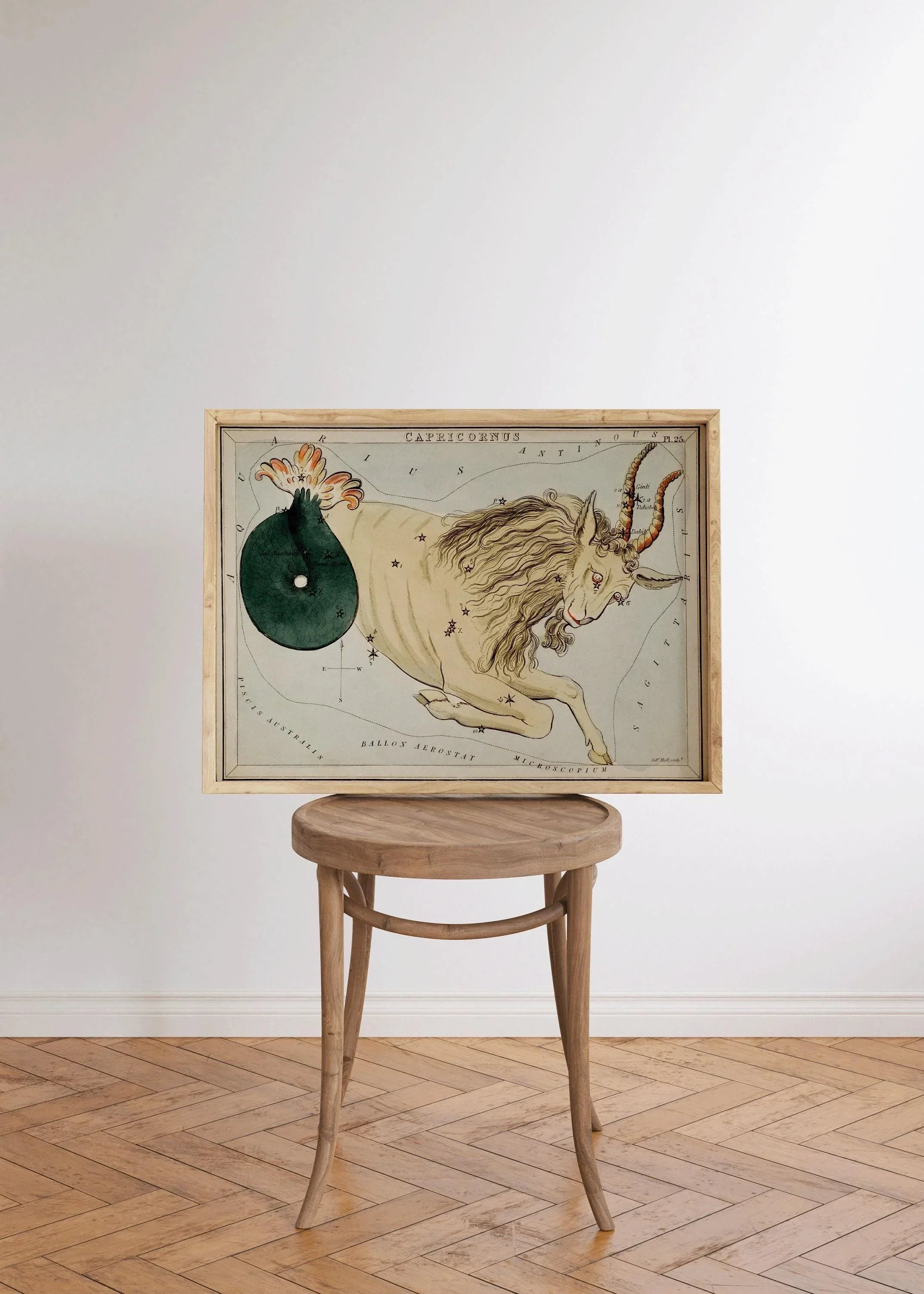 Personalizable Vintage Astrological Sign Print - Capricorn | Sidney Hall Art