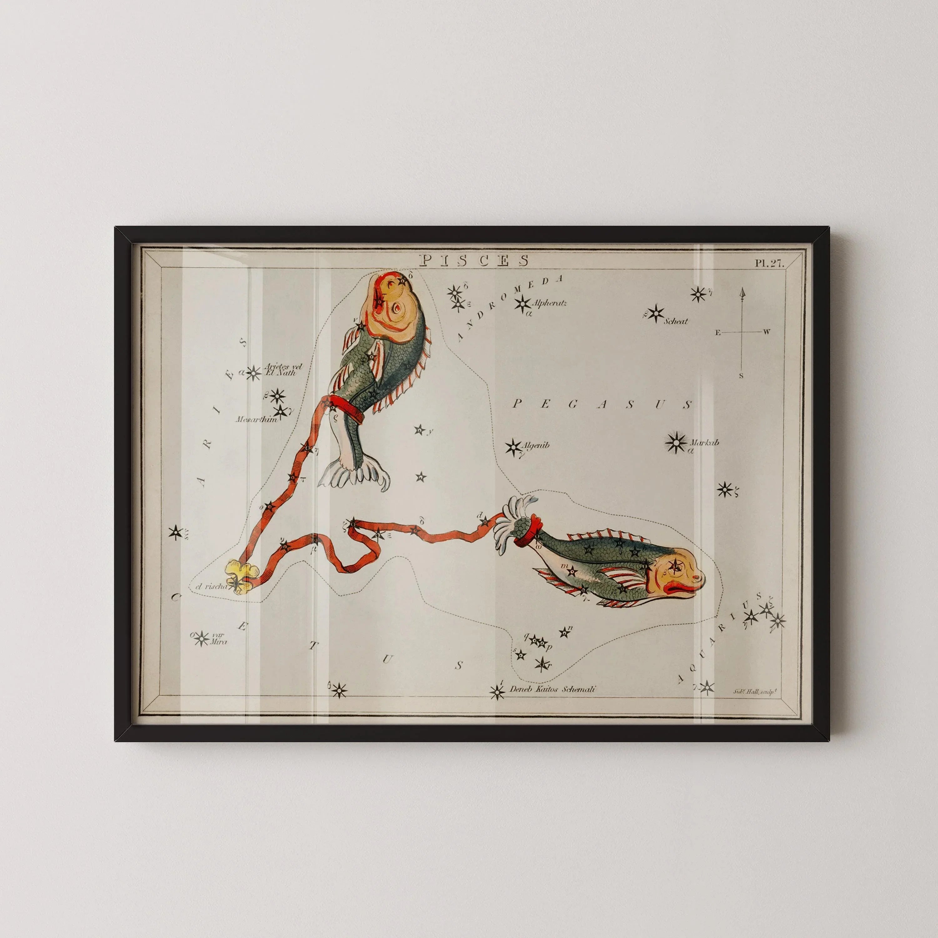 Personalizable Vintage Astrological Sign Print - Pisces | Sidney Hall Art (available handframed or unframed) - 9ArtPrints