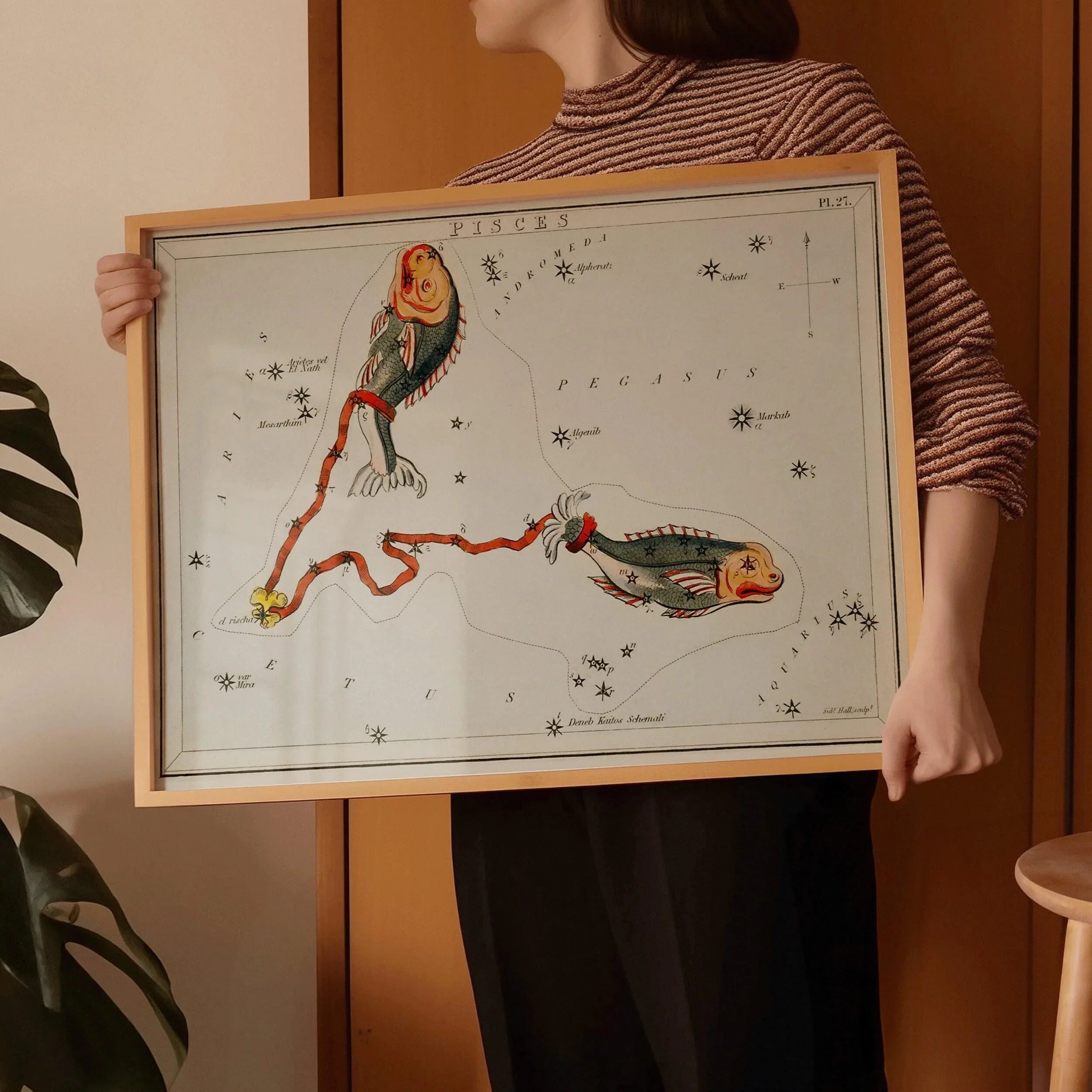 Personalizable Vintage Astrological Sign Print - Pisces | Sidney Hall Art (available handframed or unframed) - 9ArtPrints