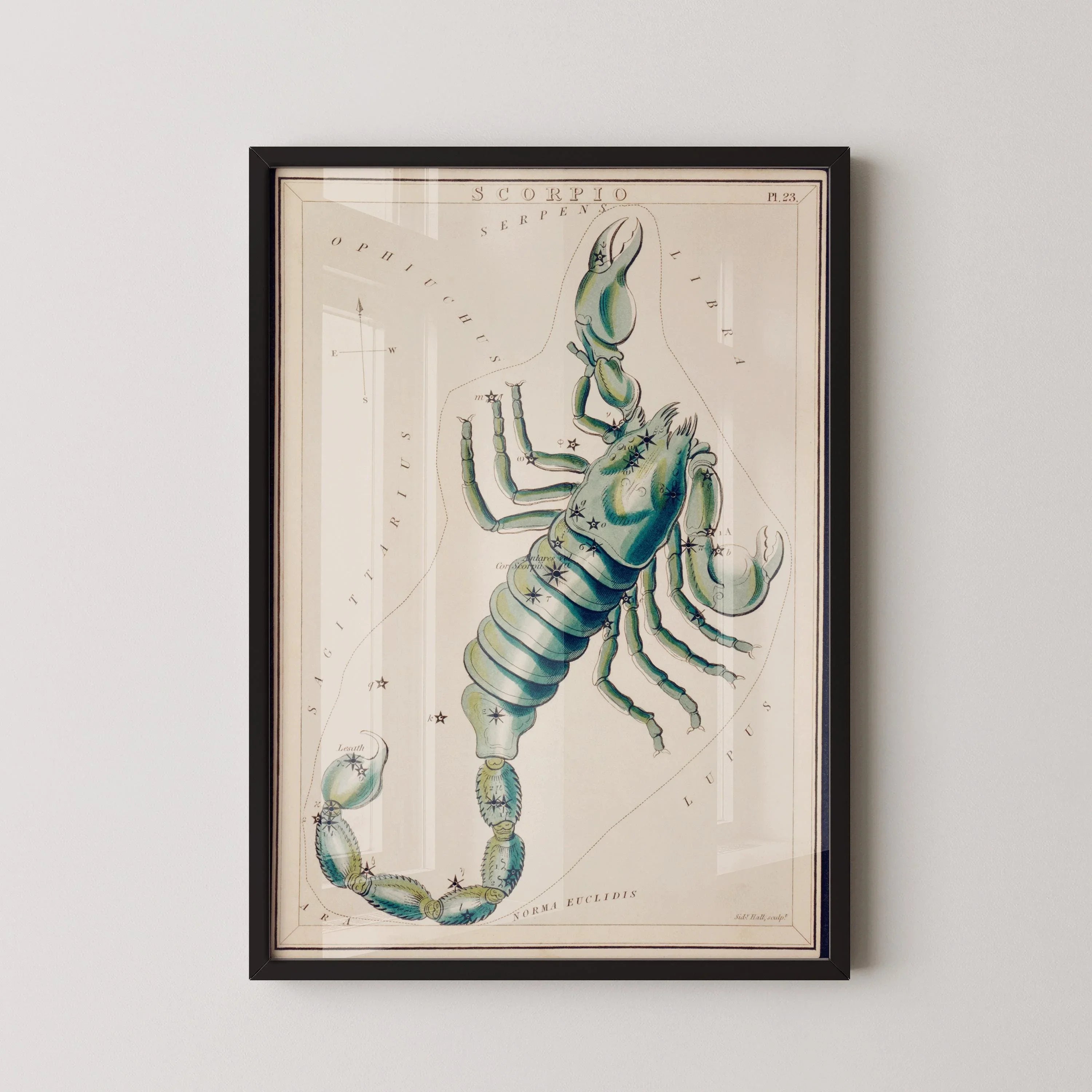 Personalizable Vintage Astrological Sign Print - Scorpio | Sidney Hall Art