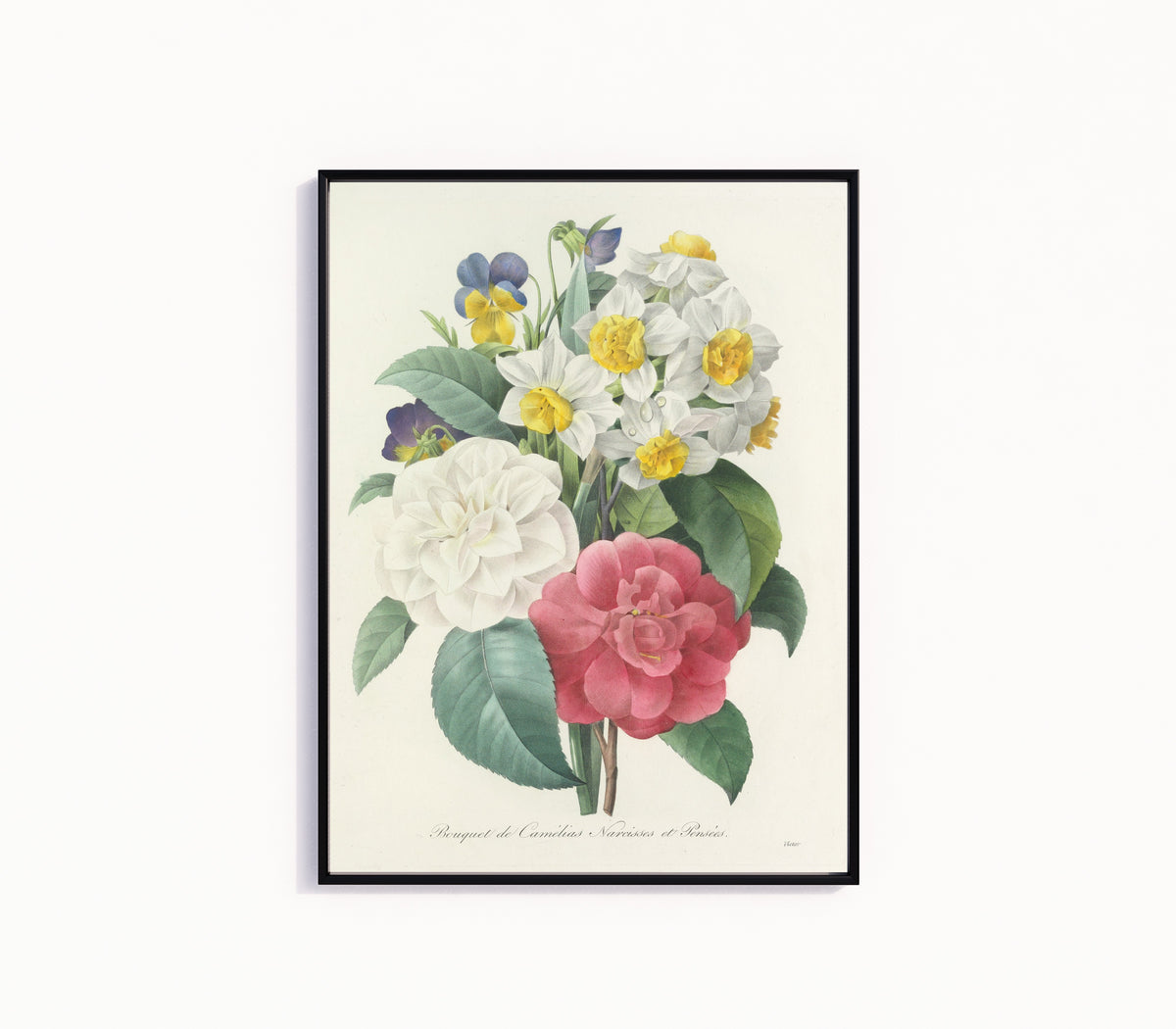 Framed art print of Choix des plus belles fleurs: Bouquet of Camellias, Narcissi and… by Pierre-Joseph Redouté, in a slim black frame on a plain white wall
