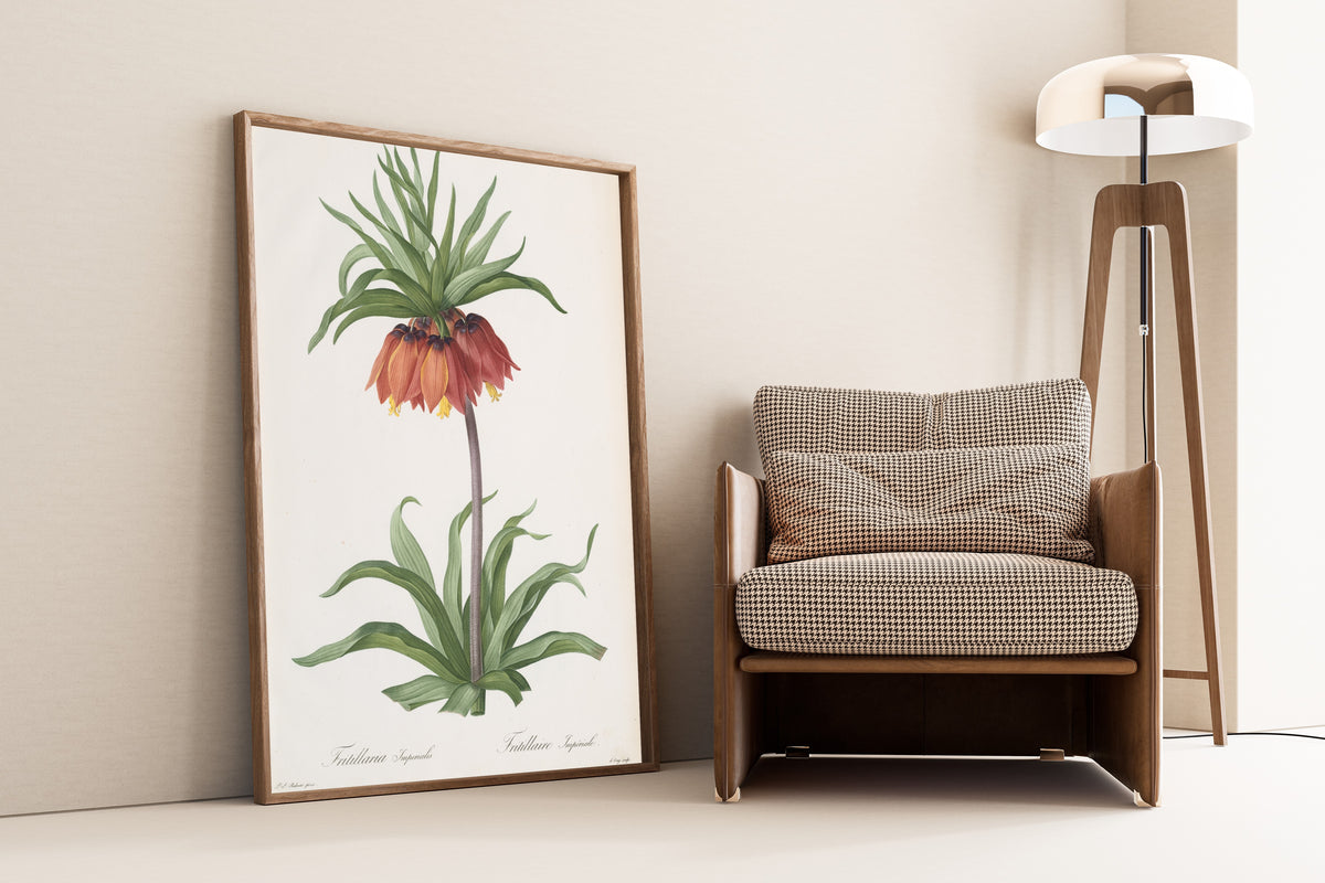 Pierre-Joseph Redouté — Les Liliacées: Fritillaria imperialis (Crown Imperial) | Botanical Illustration Print