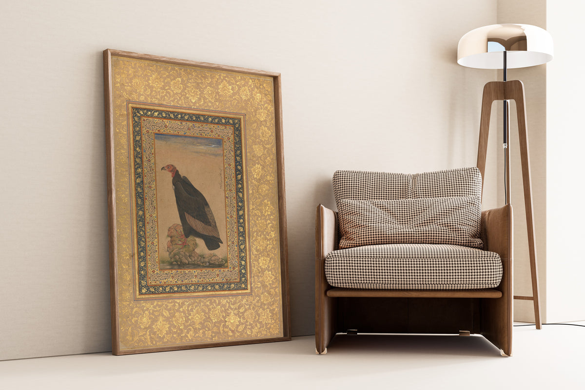 Shah Jahan Album: Red-Headed Vulture | Mughal Painting Art Print