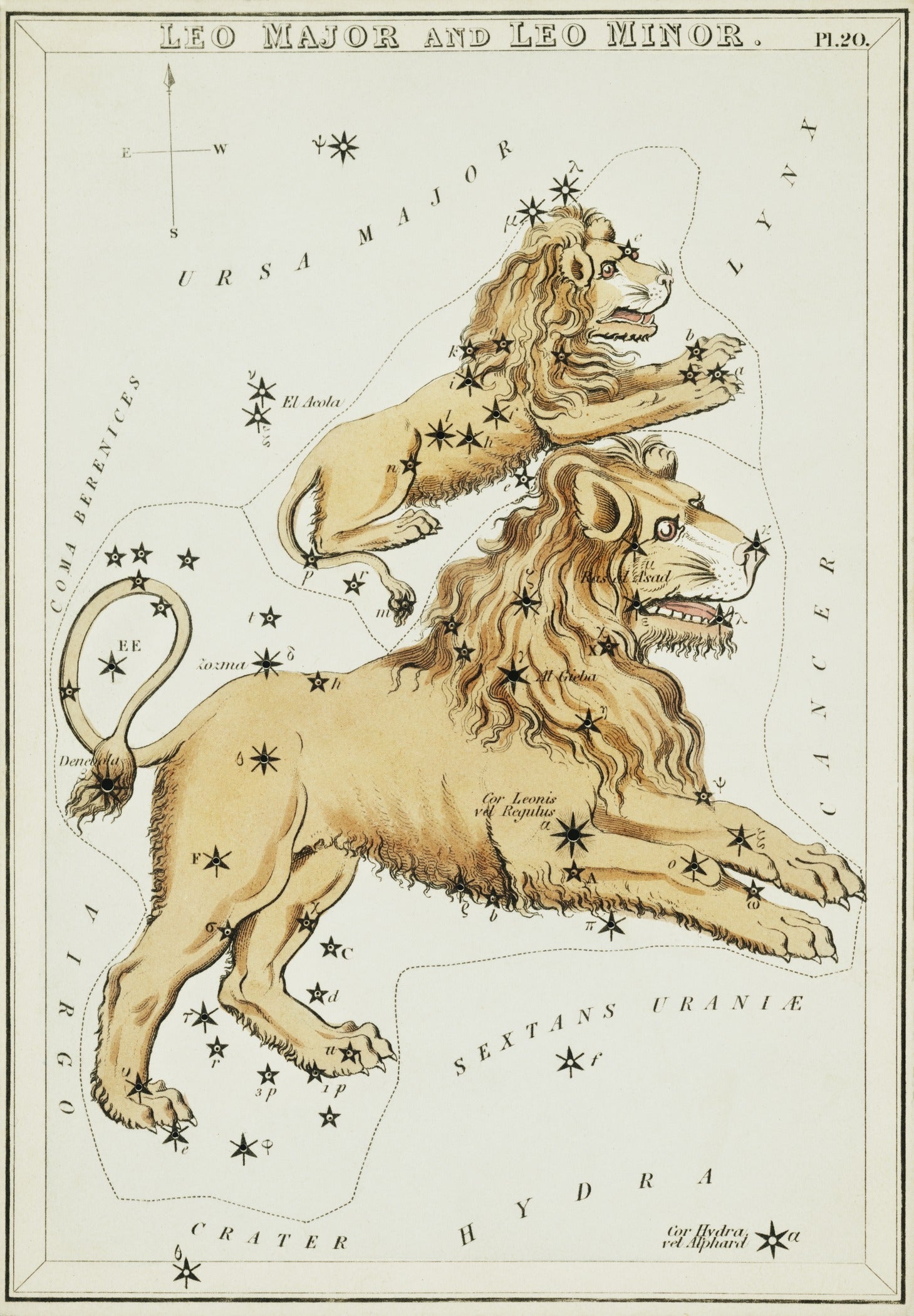 Sidney Hall — Leo | Vintage Celestial Star Chart Print - 9ArtPrints