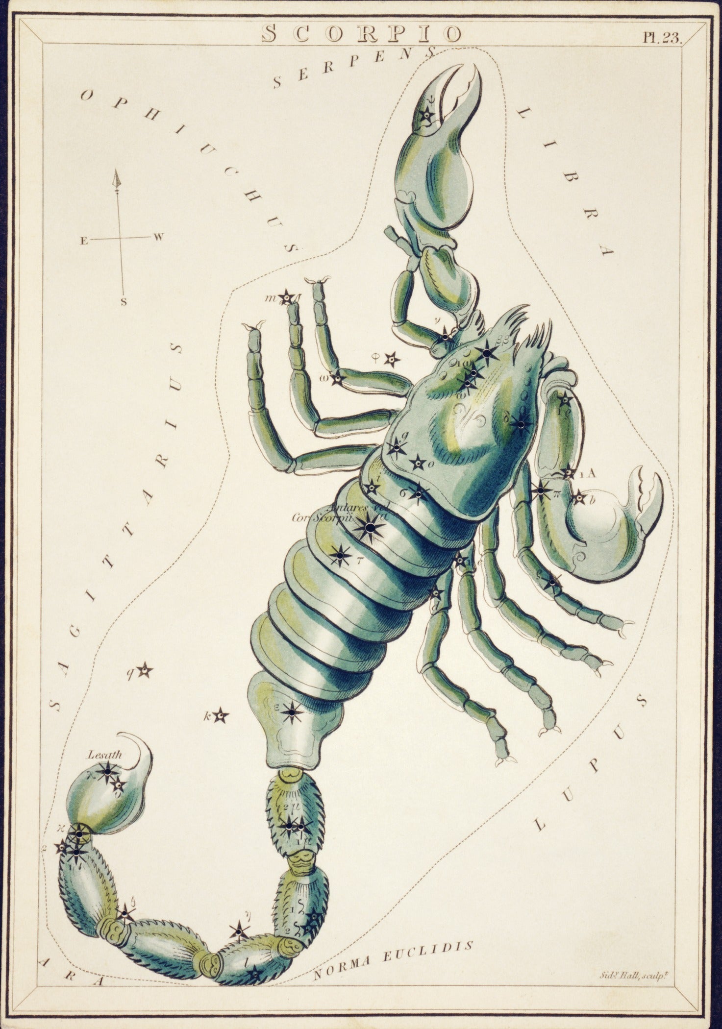 Sidney Hall — Scorpio | Vintage Celestial Star Chart Print - 9ArtPrints